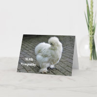 Simpatia de Foto do Chicken White Silkie