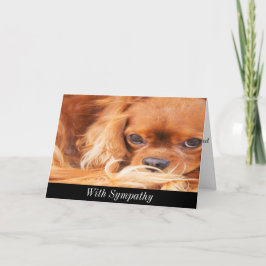 Cartão Simpatia Doce Cavaleiro Rei Charles Spaniel Card
