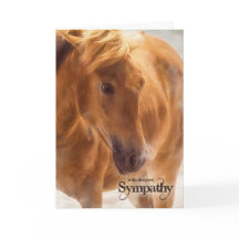 Simpatia dos Animais de Estimação do Cavalo Ociden