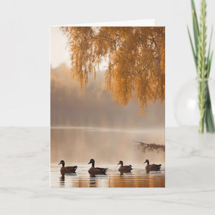 Cartão Simpatia Lagoa Nebulosa de Outono Com Patos