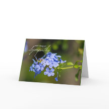 Simpatia mais profunda