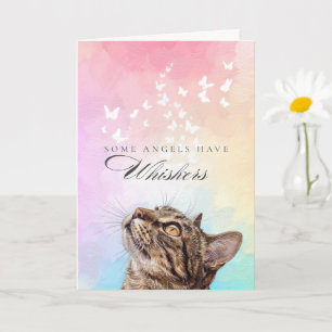 Cartão Simpatia pela Perda de Gato Tabby Marrom Arco-íris