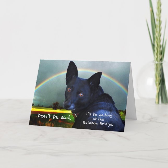 Cartão Simpatia pela perda do animal de estimação (Frente)