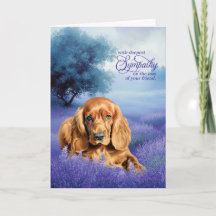 Simpatia Pet Cocker Spaniel Cachorro Lavanda