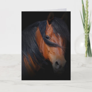 Cartão Simpatia por perda de cavalo