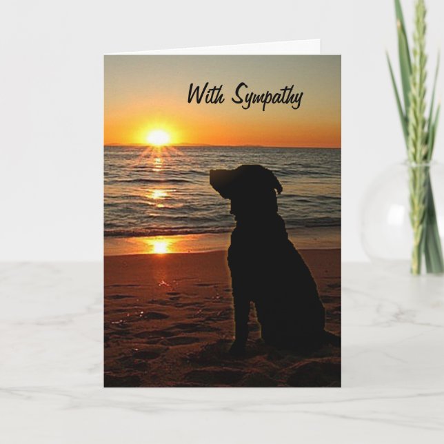Cartão Simpatia - Sunset e Dog on Beach Card (Frente)