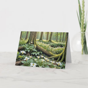 Cartão Simpatia Trilhões Brancos numa Floresta Primavera