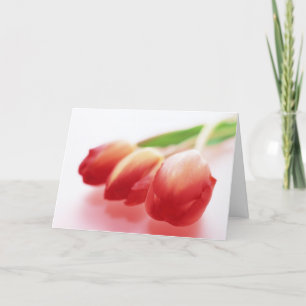 Cartão Simple Red Tulips All Ocassions Greeting Card
