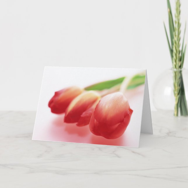 Cartão Simple Red Tulips All Ocassions Greeting Card (Frente)