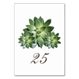 Cartão Simples De Mesa De Casamento Suculento