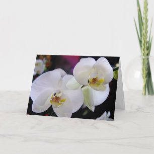 Cartão Simply orchids