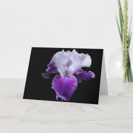 Cartão Simply Royal Custom Greeting Cards