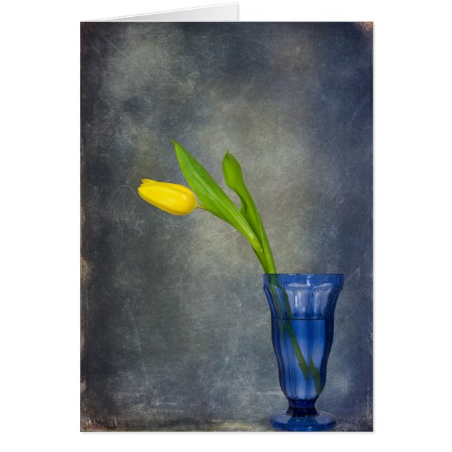 Cartão Sinal de Primavera (Frente)