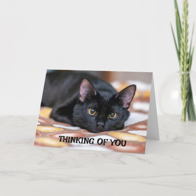 CARTÃO *SINCERAMENTE DESCULPE PELA PERDA* (Frente)