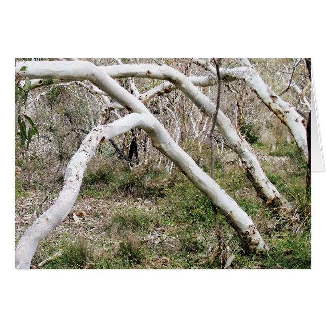 Cartão Sincronicidade (Frente horizontal)