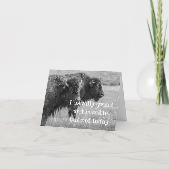 CARTÃO SINGING BUFFALO  ***HAPPY BIRTHDAY*** (Frente)