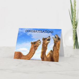 CARTÃO SINGING CAMELS SAY "CONGRATULATIONS" IN UNI-SONG!