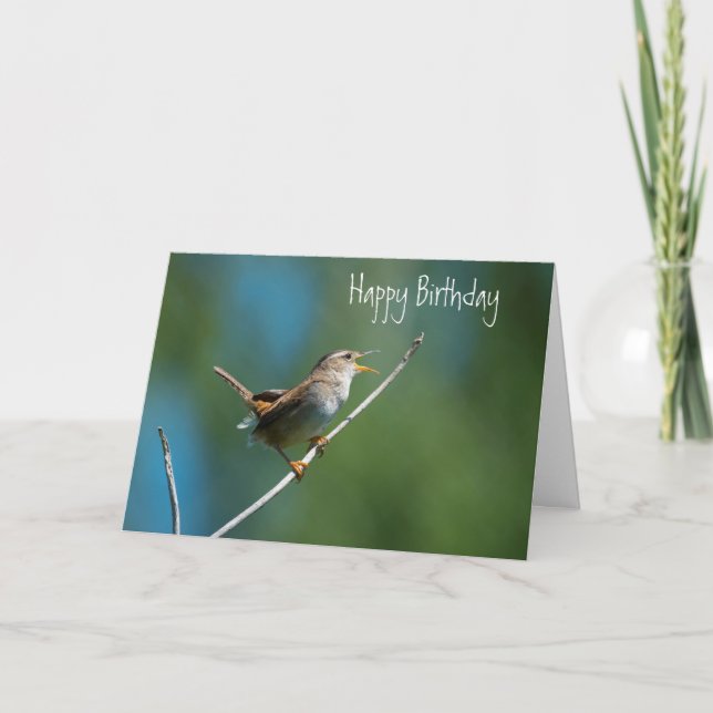 Cartão Singing wren greeting card (Frente)