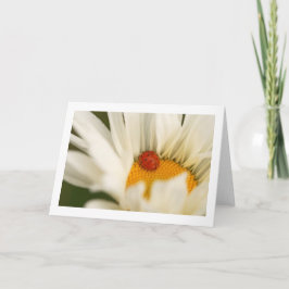 Cartão Single Ladybug Folded Blank Greeting Card