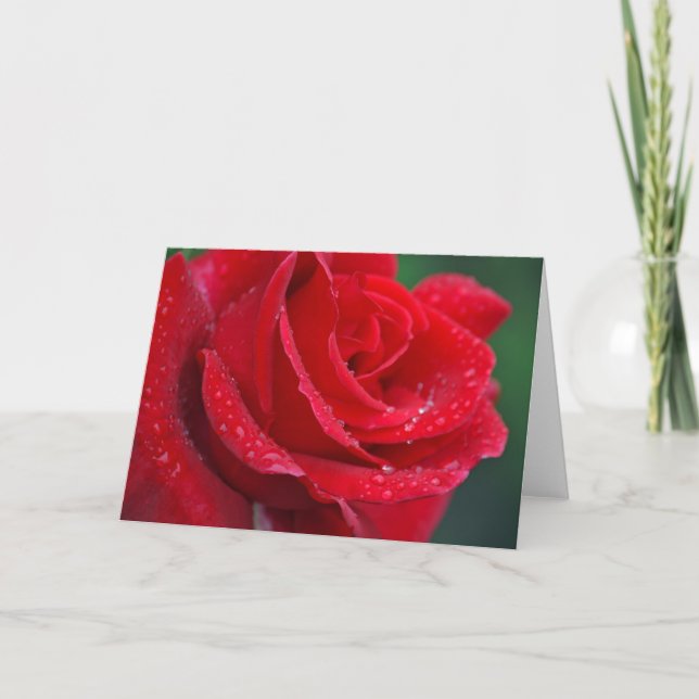 Cartão Single red rose print greeting card (Frente)