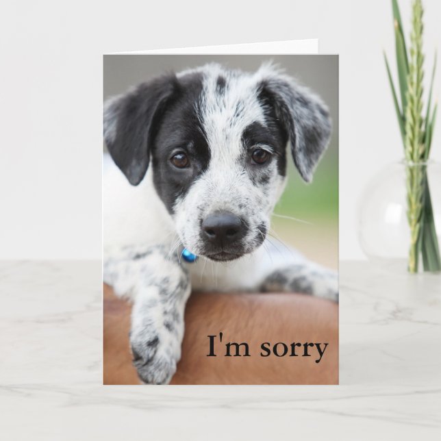 Cartão Sinto muito. (Frente)