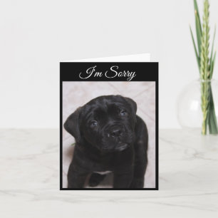 Cartão Sinto muito, Card. Mastiff Puppy