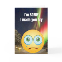 Sinto muito por tê-lo feito chorar.