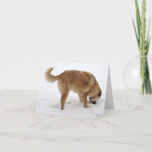 Cartão Sinto muito sua falta, estou agindo estranho - oci