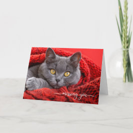 Cartão Sinto Saudades Gato Cinza em um Xale de Tricô Verm