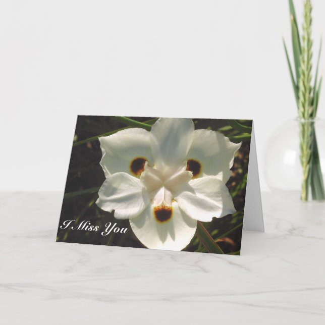 Cartão Sinto Sua Falta... De Qualquer Ocasião. (Frente)