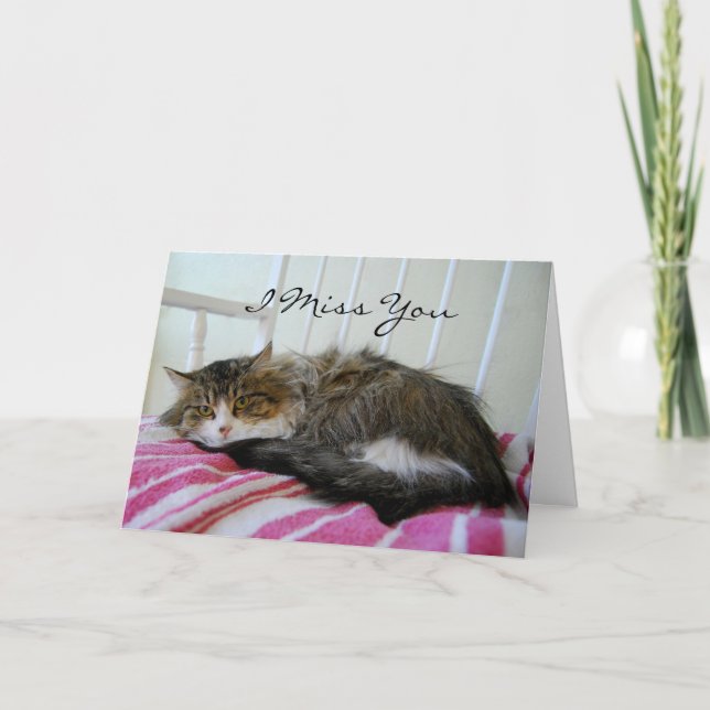 Cartão Sinto Sua Falta, Maine Coon Cat Card (Frente)