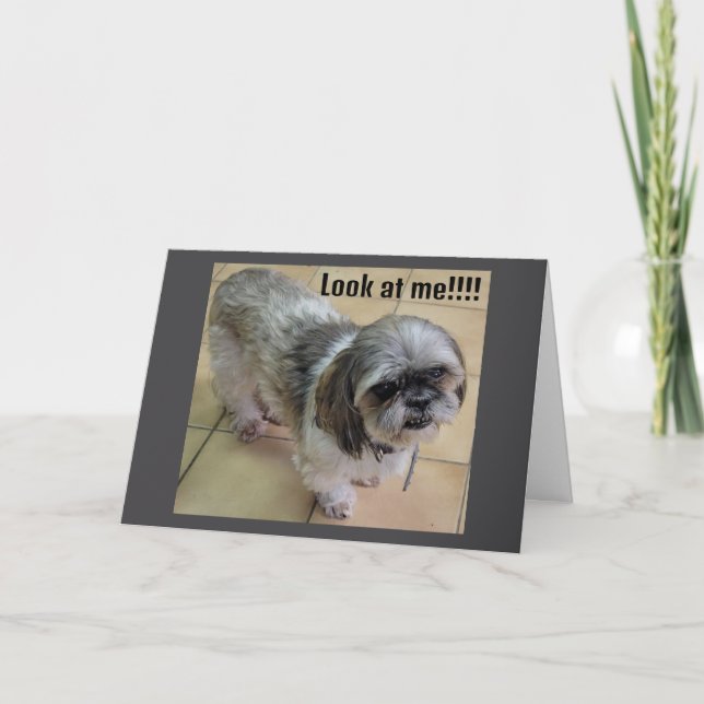 CARTÃO "SINTO SUA FALTA NO DIA DE AÇÃO DE GRAÇAS" (Frente)