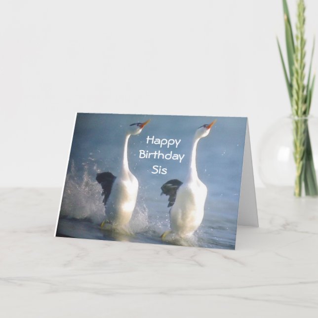 CARTÃO "SIS-CELEBRATE GOSTA, DESPEÇA OS SEUS CURSOS" ANIV (Frente)