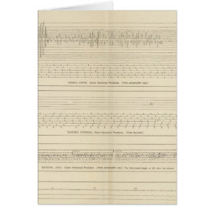 Cartão Sismogramas da Califórnia 15