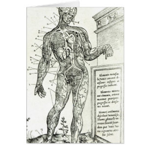 Cartão Sistema vascular de acordo com Charles Etienne