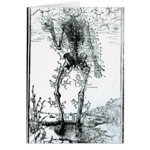 Cartão Sistema vascular do corpo