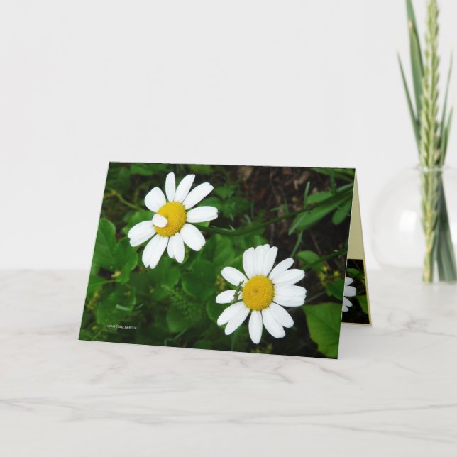 Cartão Sisters (Frente)