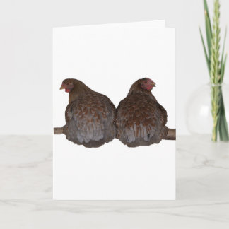 Cartão Sisters - Blue Laced Wyandotte Hens Roosting