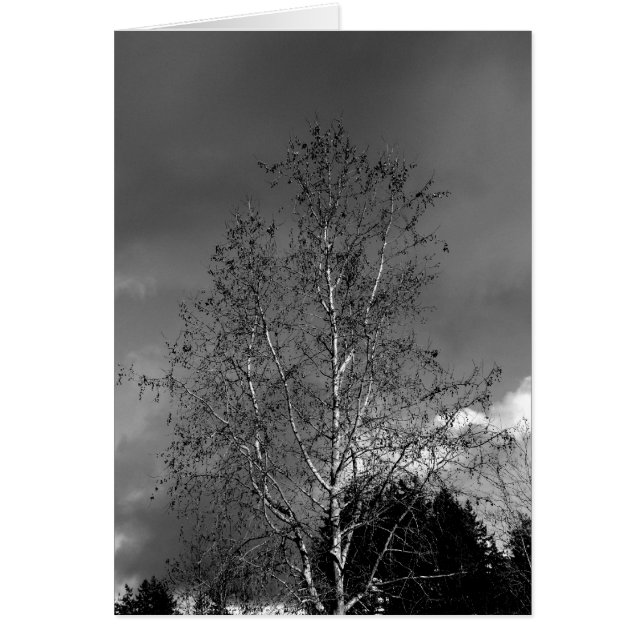 Cartão Skies Stormy (Frente)