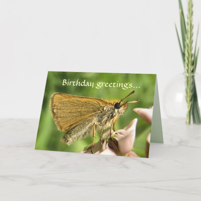 Cartão Skipper on Milkweed Birthday (Frente)