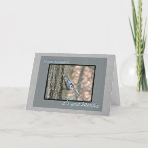 Cartão Slate Cinza Nuthatch Birthday Songbird