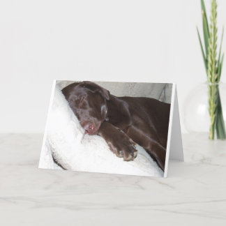 Cartão Sleeping Beauty