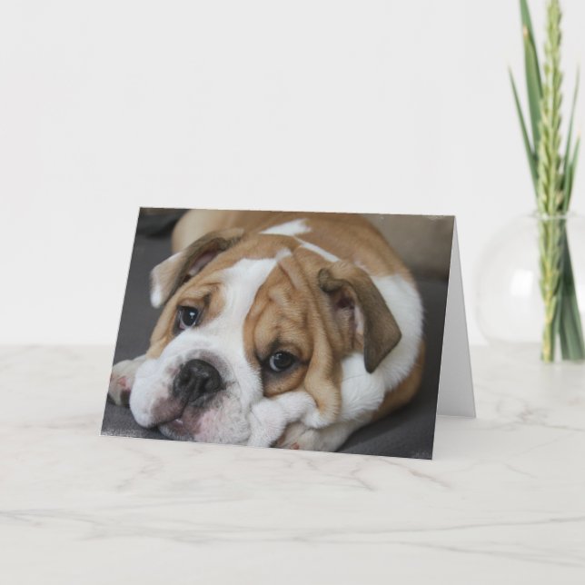 Cartão Sleeping Bulldog Greeting Card (Frente)