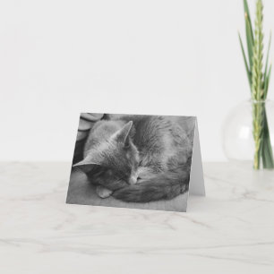 Cartão Sleeping Cat card
