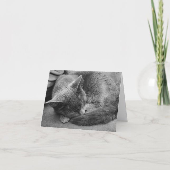 Cartão Sleeping Cat card (Frente)