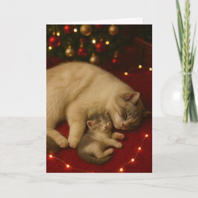 Cartão Sleeping Cats Christmas Folded Greeting (Frente)