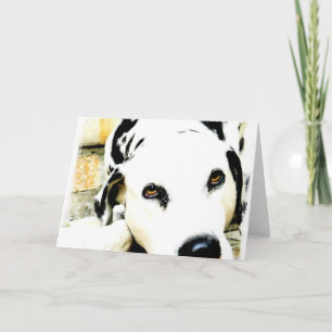 Cartão Sleeping Dalmatian Greeting Cards
