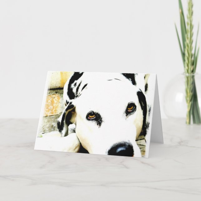 Cartão Sleeping Dalmatian Greeting Cards (Frente)