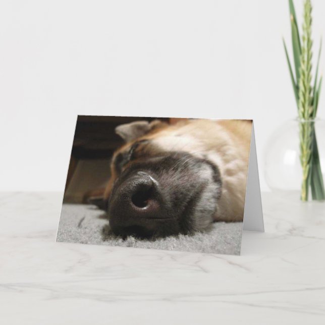 Cartão Sleeping German Shepherd Birthday Card (Frente)