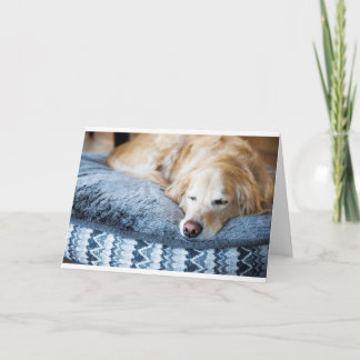 Cartão Sleeping golden retriever greeting card